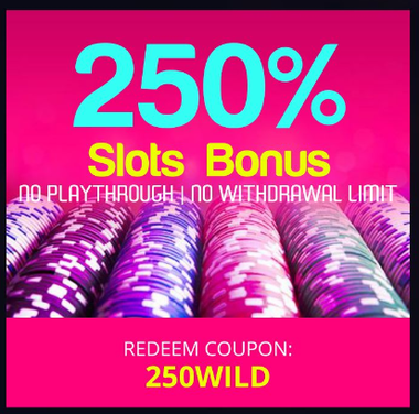 Wild Vegas Casino gives