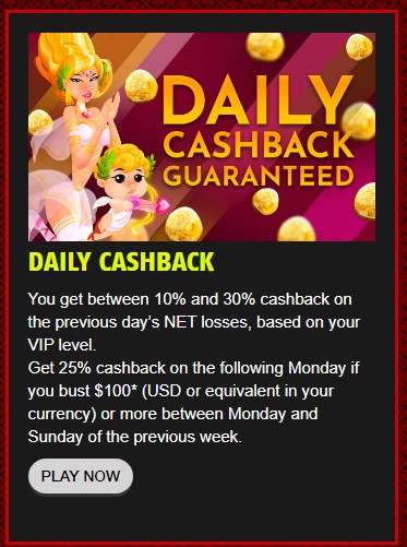 Cocoa daily cashback bonus
