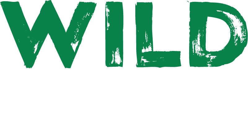 wild casino no rules bonus